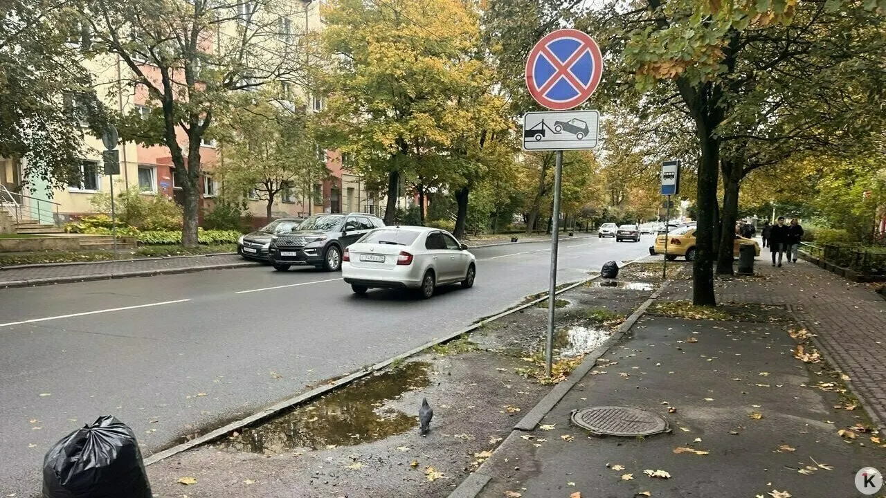 Город перераспределяет пространство вдоль улиц: пешеходам дают больше места, велосипедистам — новые дорожки, автомобили — меньше парковочных мест.