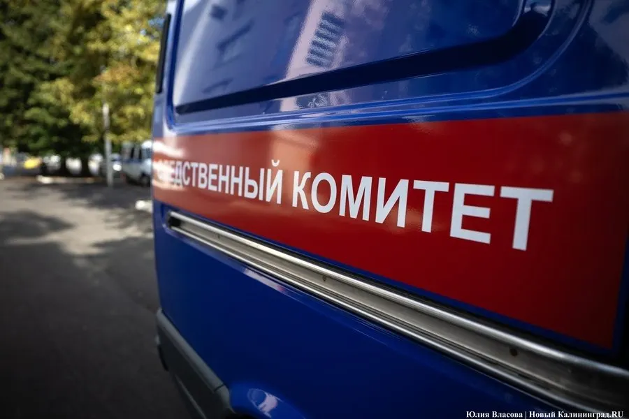 41-летнему мужчине предъявлено обвинение в насильственных действиях сексуального характера в отношении четырех школьниц моложе 12 лет; задержан в Москве и доставлен в Калининград, суд определил меру пресечения до 14 ноября 2026 года.