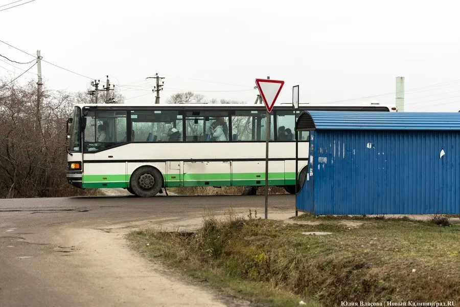 Администрация сообщает о наращивании числа автобусов на пяти маршрутах Гурьевского округа, обещая решение транспортных проблем и улучшение расписания к 2027 году.