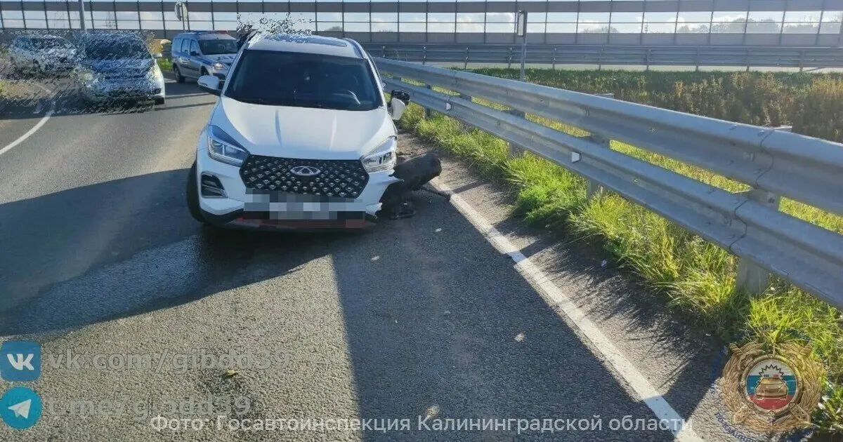 На Северном обходе Калининграда автомобиль марки Chery врезался в металлический отбойник; от удара оторвало колесо. Годовалый ребёнок и водитель получили травмы, проводится расследование.
