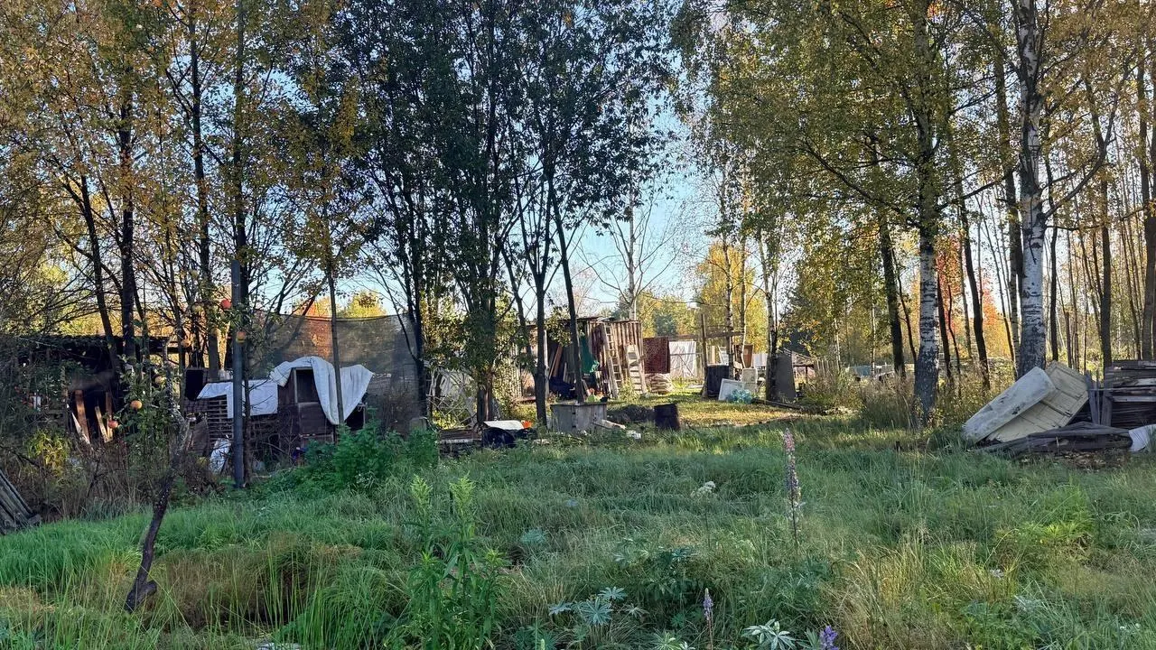 Земля принадлежит городу; договоры с нынешними пользователями не заключались. Территорию передали под коллективное огородничество в 1984 году, однако право бессрочного пользования не закрепили. Демонтаж запланирован на 26 октября.