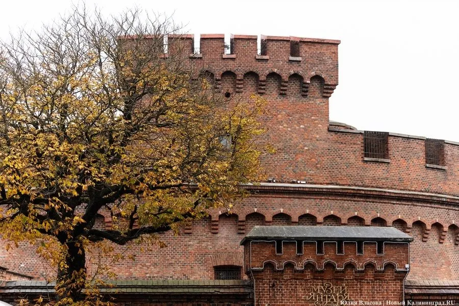 Парковка для автобусов за Музеем янтаря в Калининграде планируется в рамках благоустройства территории и станет частью туристической зоны; аукцион по строительству пока не состоялся, начальная цена контракта — 171,5 млн рублей.