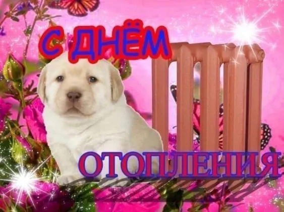Подача тепла стартовала в начале октября: тепло подается сначала в школы, детсады и больницы, затем — в жилой фонд.