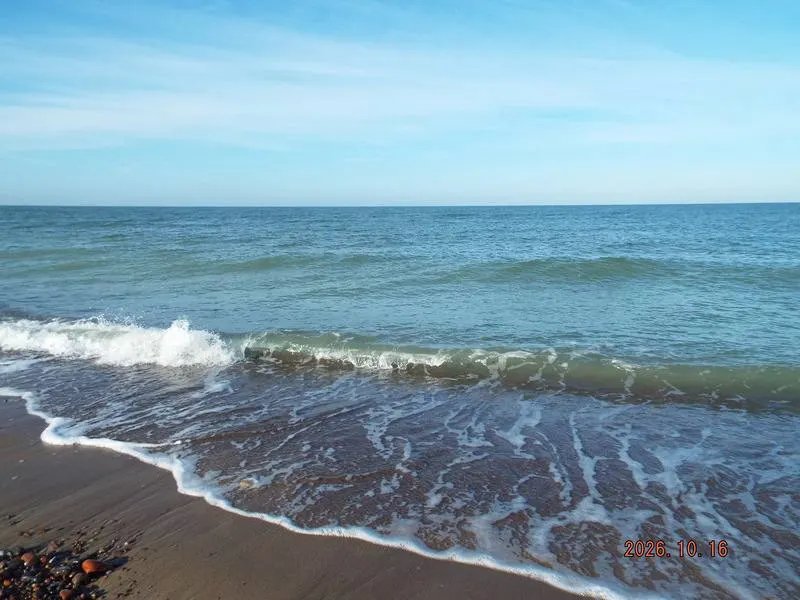 После волнения моря на Куршской косе наблюдается увеличение ширины пляжей, а леса и птицы демонстрируют осенние изменения.
