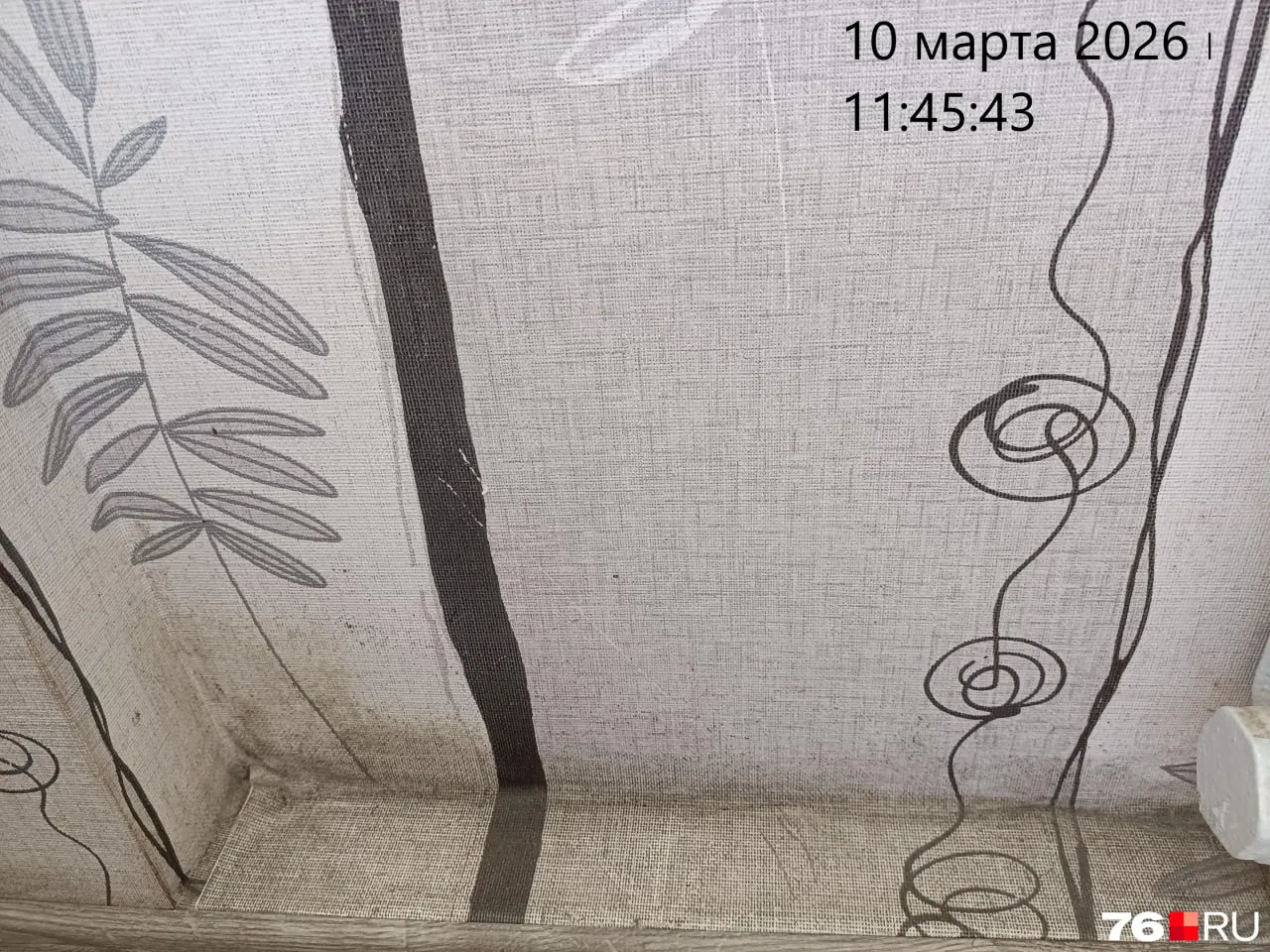 Жильцы многоквартирного дома на проезде Матросова, 1 жалуются на сырость и плесень в квартирах и проблемы в нижних подъездах, связанные с уклоном территории.