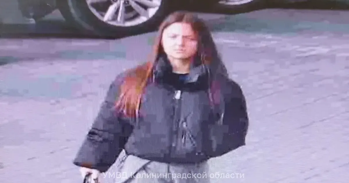 17-летняя школьница пропала вечером 23 октября и не выходит на связь.