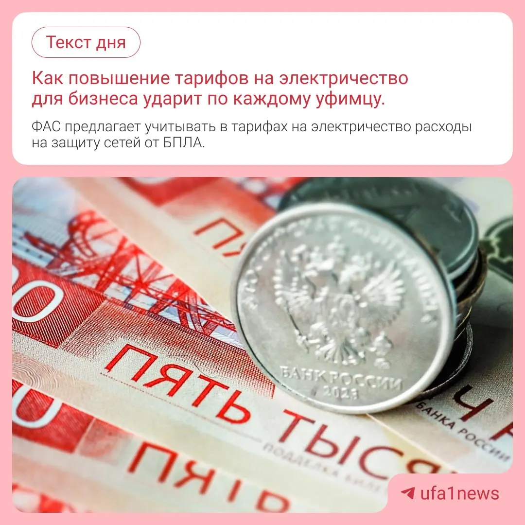ФАС предлагает пересмотреть правила расчета тарифов и включить траты сетевых компаний на защиту ЛЭП от беспилотников, что может повлиять на цены для потребителей.