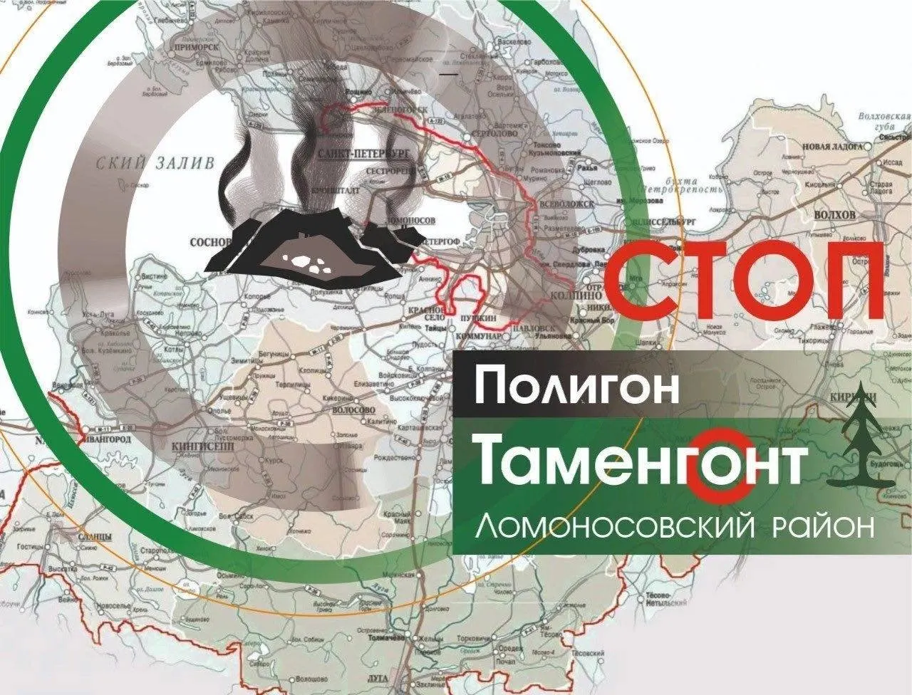 Следственные органы потребовали вернуть лесной участок у деревни Таменгонт в лесной фонд и прекратить вырубку до решения по статусу земель, инициировав серию представлений в региональные ведомства.