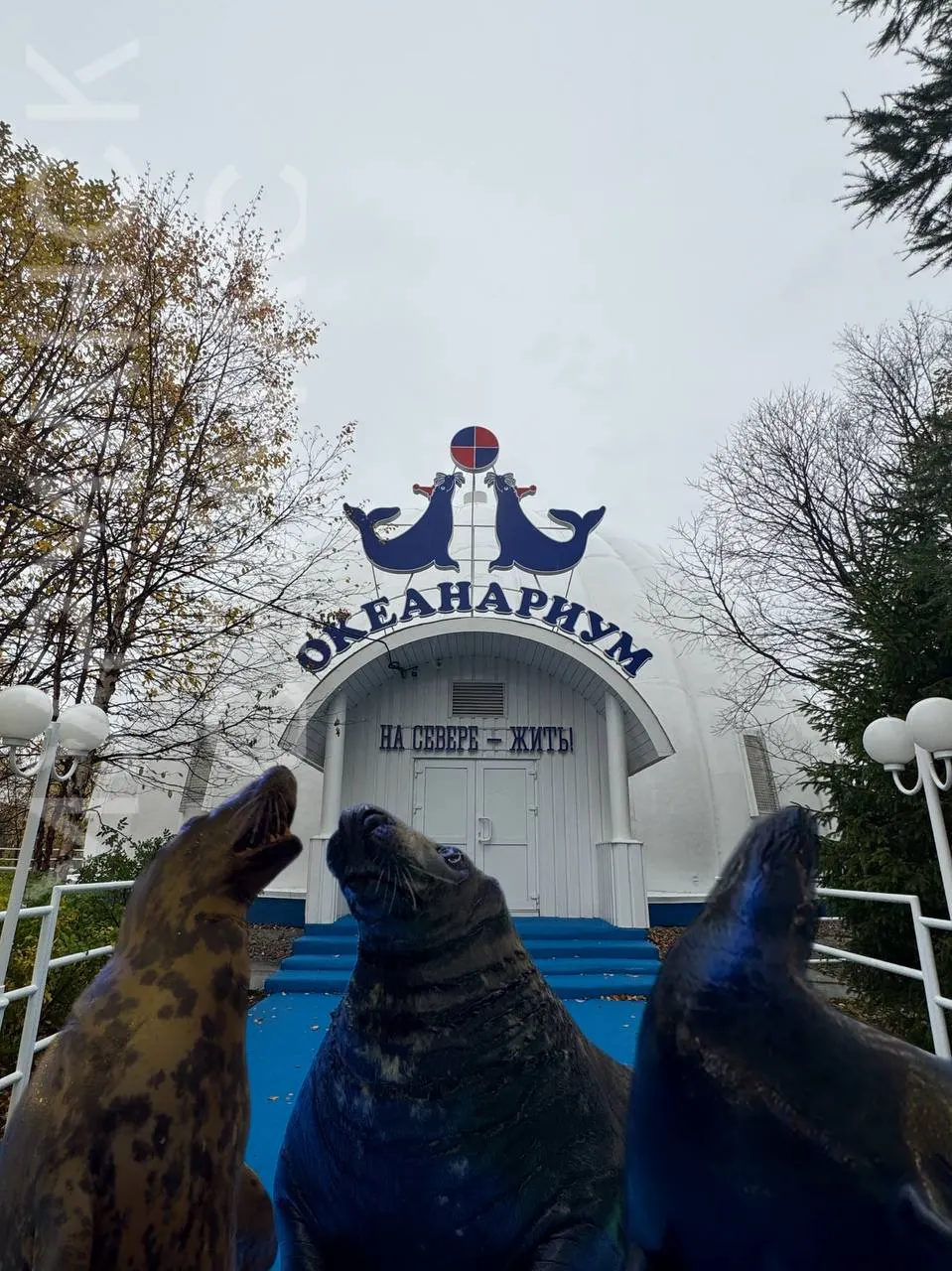 В Мурманске отмечают два юбилея: купол океанариума исполнилось 30 лет, а городу — 110 лет.