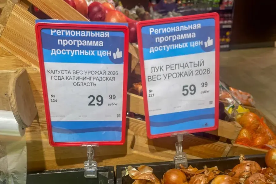 Мониторинг цен за месяц зафиксировал снижение стоимости сезонных овощей; общая экономия по корзине составила 40–193 руб.