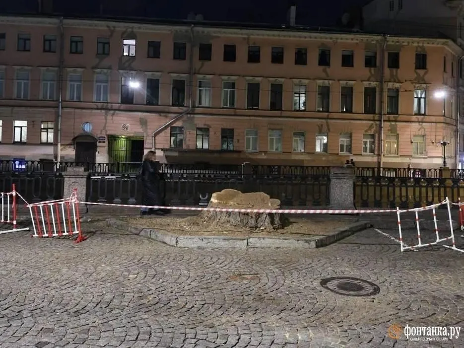 На набережной канала Грибоедова спилили дуб, который ранее фигурировал в видеоигре Call of Duty: Modern Warfare 2019. Территория огорожена, на месте дерева образовался пень.