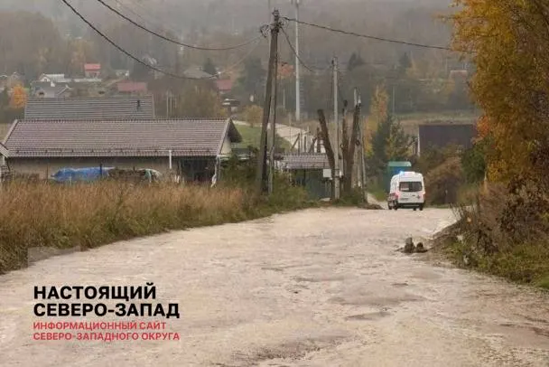 Жители деревни Михайловская и соседних садоводств Ленинградской области жалуются на разбитую дорогу к массиву «Новая Ропша», на участке длиной 200–300 метров — ямы и просадки грунта.