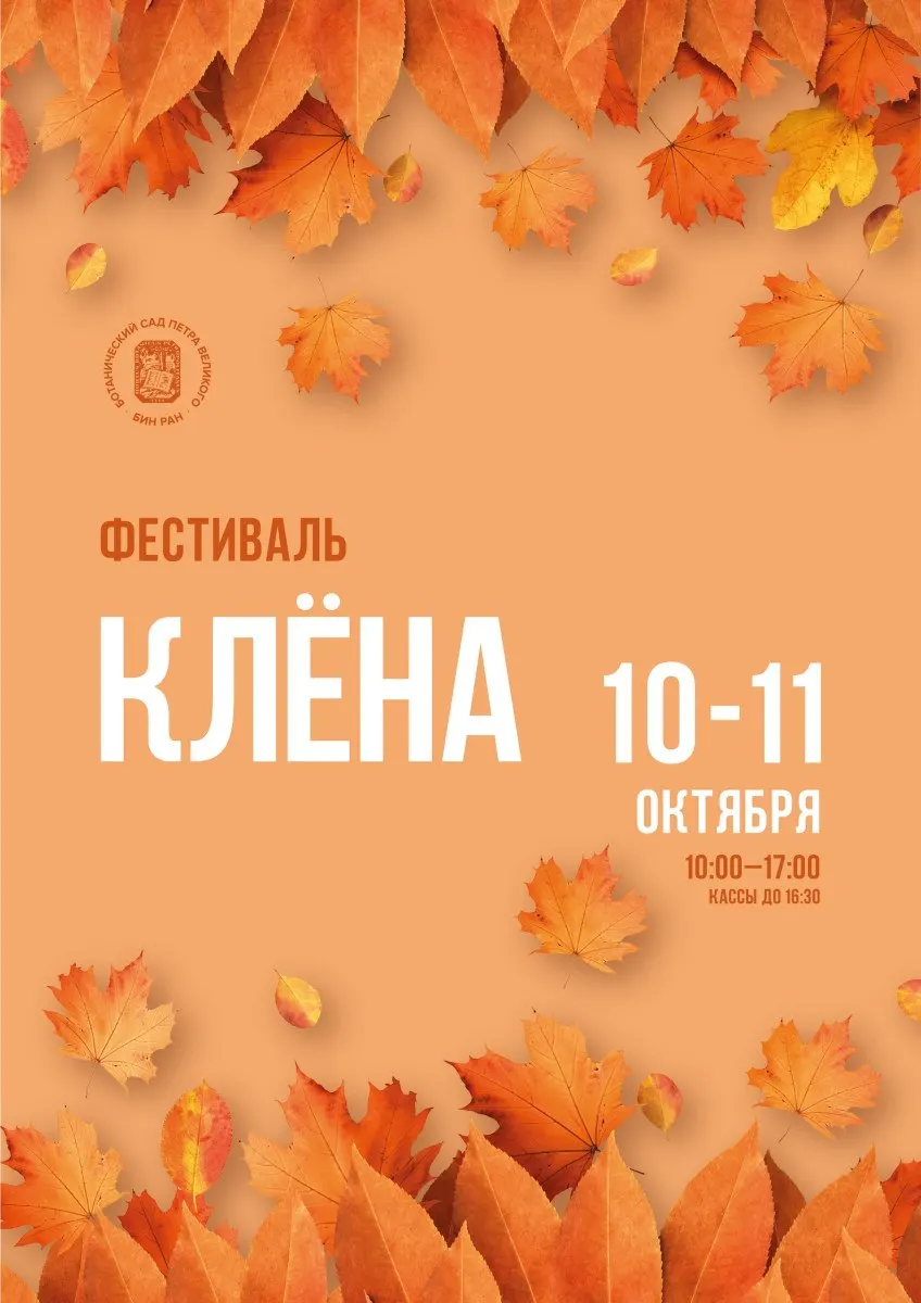 На фестивале кленов в Санкт-Петербурге посетителей ждёт открытие гербария, ботаническая викторина и мастер-классы, программы проходят 10–11 октября с 10:00 до 17:00.