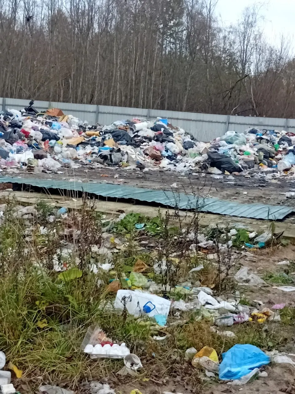 Город Архангельск снова сталкивается с проблемой мусорной свалки: ворота сорваны, часть стены разрушена, ветер разносит мусор по окрестностям.