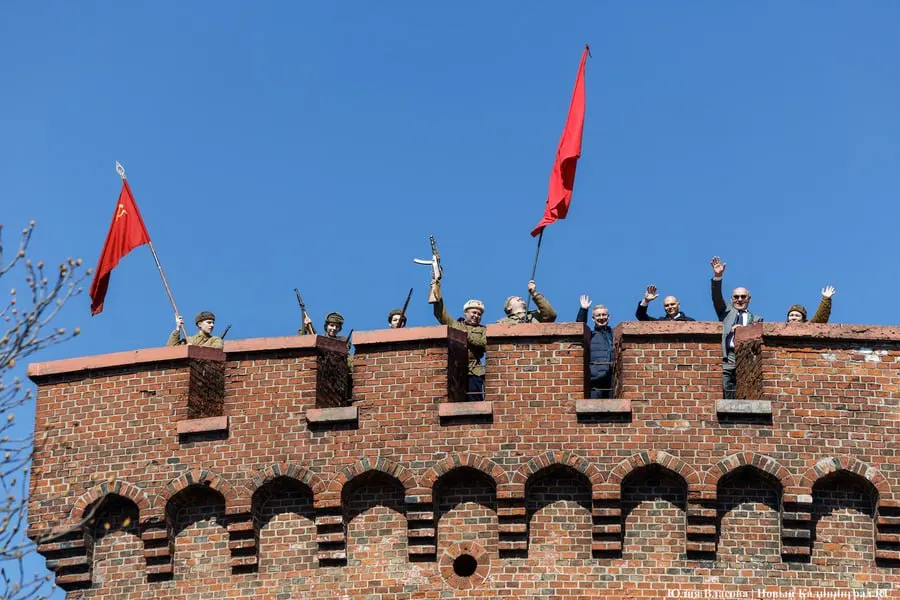 Региональные специалисты жалуются на частые откаты правок в Википедии, затрагивающие историю Калининграда и башни Дона, где расположен музей янтаря. Эксперты предлагают пользоваться проверенными источниками.