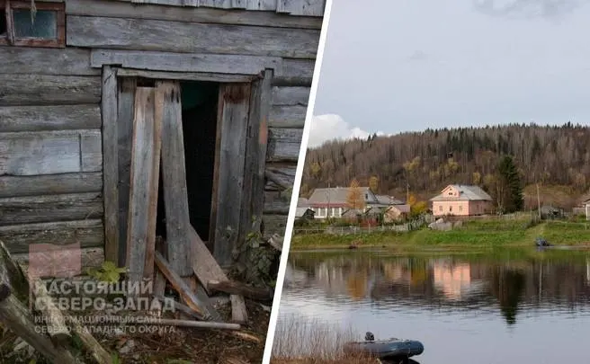 В Архангельской области медведи приближаются к населённым пунктам; власти усиливают патрулирование и профилактические меры.