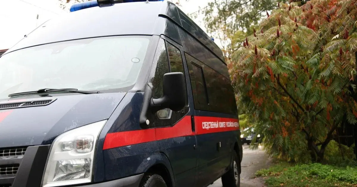 Четырёхлетний мальчик исчез днём в одном из населённых пунктов Черняховского района и впоследствии найден погибшим возле водоёма на окраине населённого пункта. Поиски вели полиция, спасатели и волонтёры.