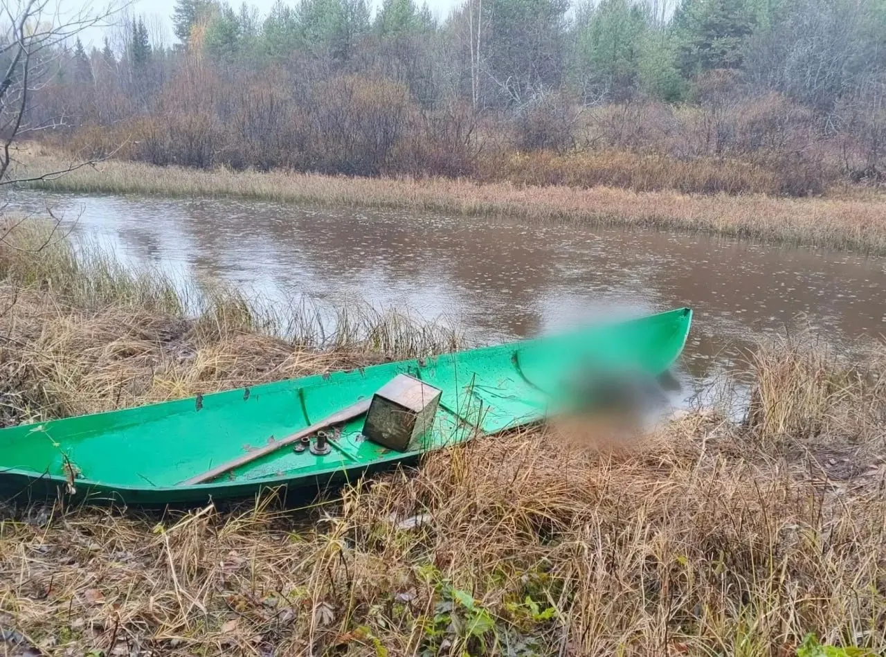 В Верхнетойемском районе нашли тело 40-летнего рыбака; в Маймаксанском рукаве Северной Двины перевернулась моторная лодка: один из двух мужчин спасён, второй пропал без жилета; обстоятельства расследуются.