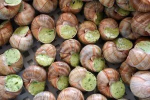Из Калининградской области в октябре отправлено 18 партий готовой продукции из моллюсков. Более 14 тонн улиток поставлено в Московскую область.