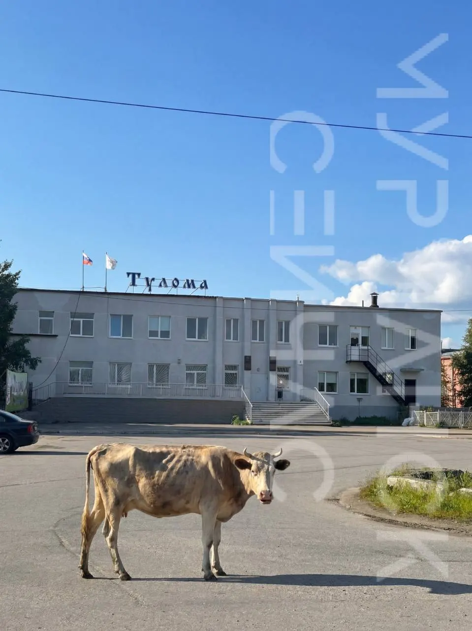 Проверка подтвердила наличие проблем на совхозе и требует разработки плана действий и мер к ответственным лицам.