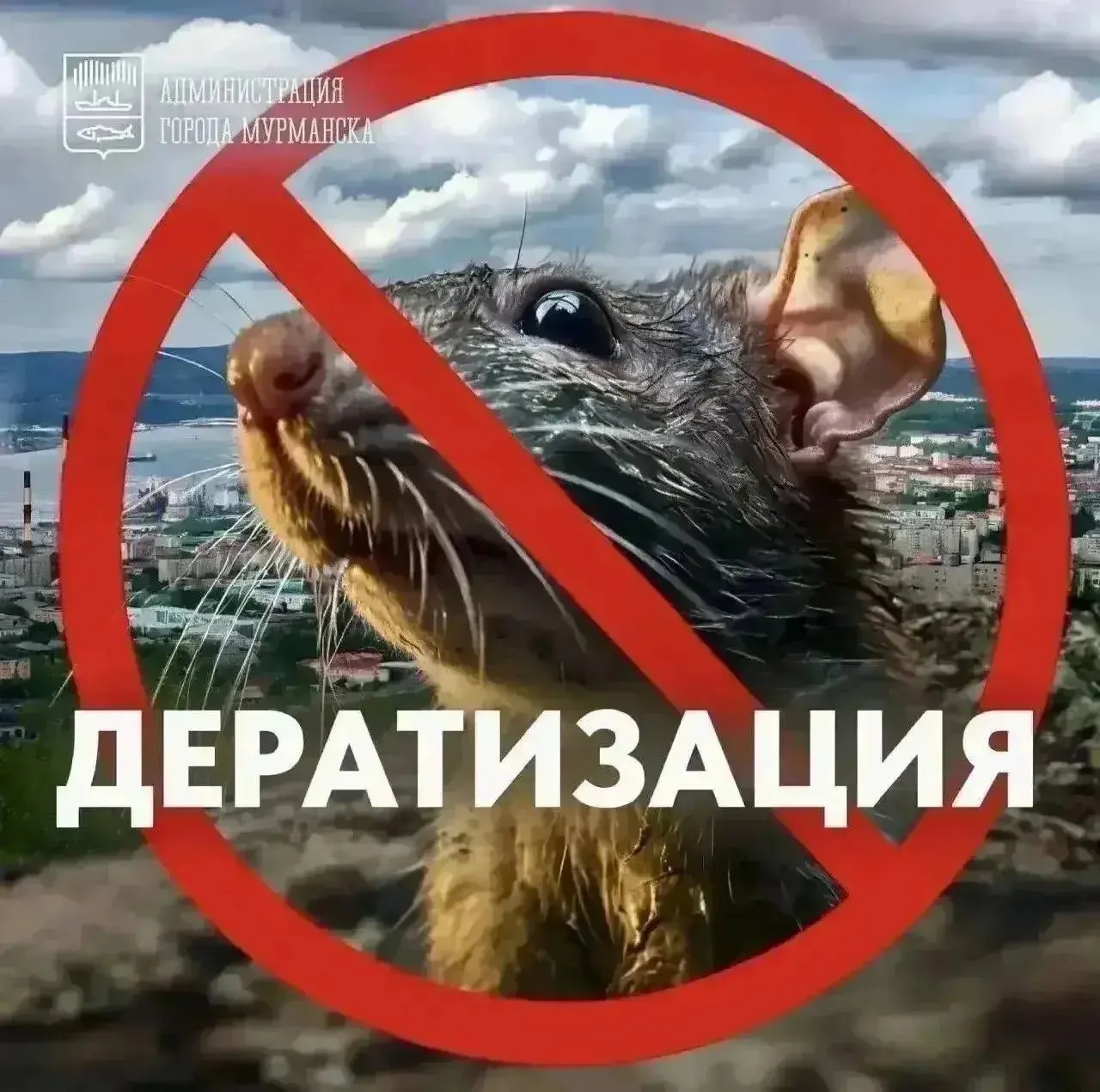 До 30 октября в городе проводятся работы по дератизации: охвачены Первый административный округ и прилегающие территории, работы проходят в два этапа, жители просят соблюдать меры безопасности.